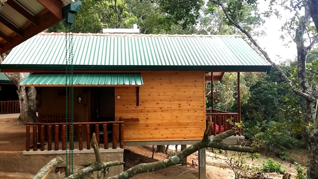 Saffron Eco Cottage Ella Kültér fotó