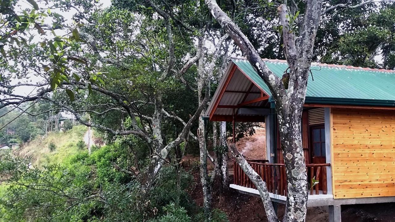 Saffron Eco Cottage Ella Kültér fotó