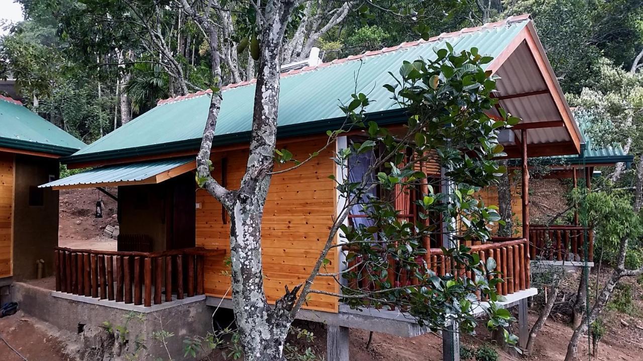 Saffron Eco Cottage Ella Kültér fotó