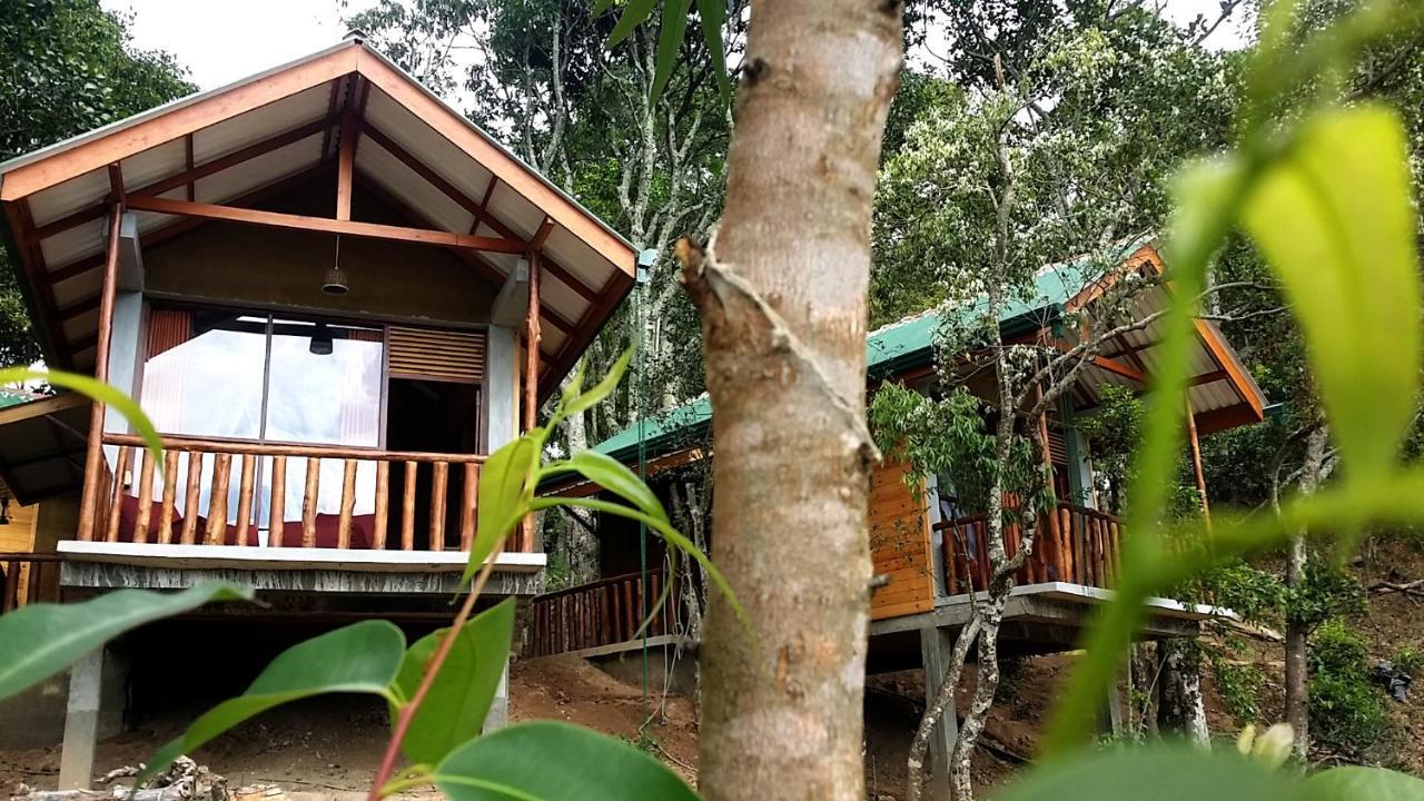 Saffron Eco Cottage Ella Kültér fotó