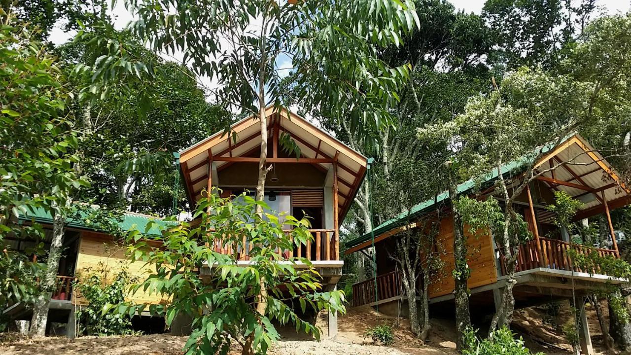 Saffron Eco Cottage Ella Kültér fotó