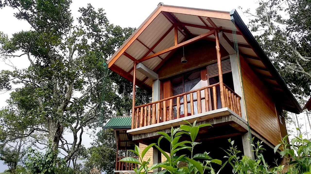 Saffron Eco Cottage Ella Kültér fotó